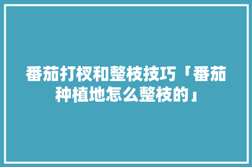 番茄打杈和整枝技巧「番茄种植地怎么整枝的」 番茄打杈和整枝技巧「番茄种植地怎么整枝的」 植物种类