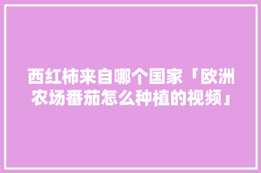 西红柿来自哪个国家「欧洲农场番茄怎么种植的视频」