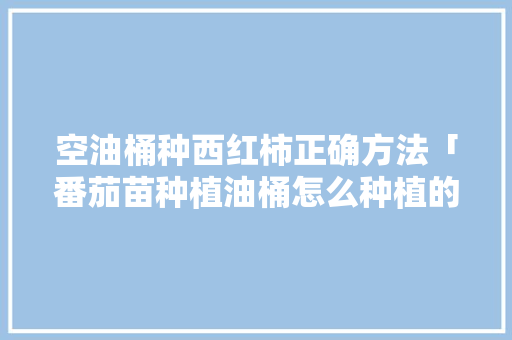 空油桶种西红柿正确方法「番茄苗种植油桶怎么种植的」 空油桶种西红柿正确方法「番茄苗种植油桶怎么种植的」 番茄病虫害防治
