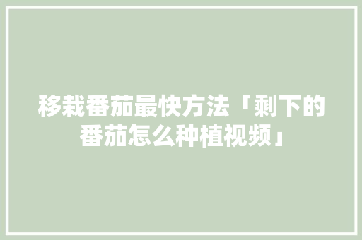 移栽番茄最快方法「剩下的番茄怎么种植视频」 移栽番茄最快方法「剩下的番茄怎么种植视频」 土壤施肥