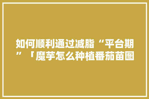 如何顺利通过减脂“平台期”「魔芋怎么种植番茄苗图片大全」 如何顺利通过减脂“平台期”「魔芋怎么种植番茄苗图片大全」 番茄病虫害防治