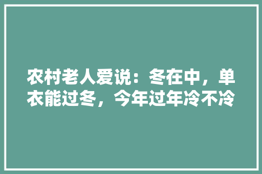农村老人爱说：冬在中，单衣能过冬，今年过年冷不冷呢「酒酒归一是什么意思」