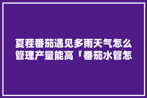 夏茬番茄遇见多雨天气怎么管理产量能高「番茄水管怎么种植的视频」 夏茬番茄遇见多雨天气怎么管理产量能高「番茄水管怎么种植的视频」 番茄种植技巧
