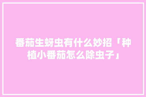 番茄生蚜虫有什么妙招「种植小番茄怎么除虫子」 番茄生蚜虫有什么妙招「种植小番茄怎么除虫子」 种植技巧