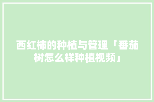 西红柿的种植与管理「番茄树怎么样种植视频」 西红柿的种植与管理「番茄树怎么样种植视频」 农业常识