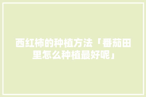 西红柿的种植方法「番茄田里怎么种植最好呢」 农业常识 西红柿的种植方法「番茄田里怎么种植最好呢」 西红柿的种植方法「番茄田里怎么种植最好呢」 农业常识