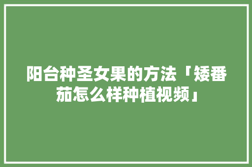 阳台种圣女果的方法「矮番茄怎么样种植视频」 阳台种圣女果的方法「矮番茄怎么样种植视频」 植物种类