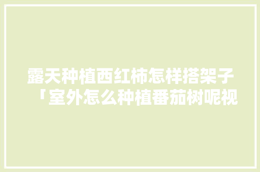露天种植西红柿怎样搭架子「室外怎么种植番茄树呢视频」 露天种植西红柿怎样搭架子「室外怎么种植番茄树呢视频」 花朵知识