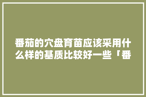番茄的穴盘育苗应该采用什么样的基质比较好一些「番茄种植基质怎么填土」 农业常识 番茄的穴盘育苗应该采用什么样的基质比较好一些「番茄种植基质怎么填土」 番茄的穴盘育苗应该采用什么样的基质比较好一些「番茄种植基质怎么填土」 农业常识