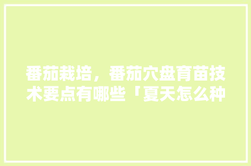 番茄栽培，番茄穴盘育苗技术要点有哪些「夏天怎么种植小番茄种子呢」 番茄栽培，番茄穴盘育苗技术要点有哪些「夏天怎么种植小番茄种子呢」 番茄病虫害防治