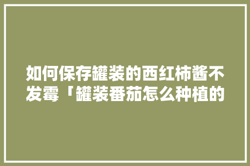 如何保存罐装的西红柿酱不发霉「罐装番茄怎么种植的图片大全」 如何保存罐装的西红柿酱不发霉「罐装番茄怎么种植的图片大全」 番茄种植技巧