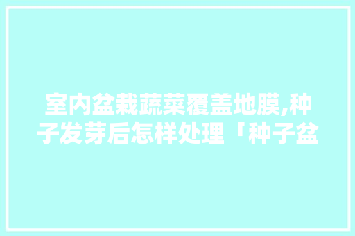 室内盆栽蔬菜覆盖地膜,种子发芽后怎样处理「种子盆栽种植方法」 室内盆栽蔬菜覆盖地膜,种子发芽后怎样处理「种子盆栽种植方法」 番茄种植技巧