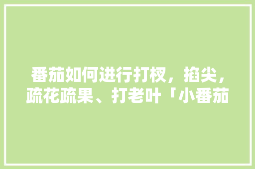 番茄如何进行打杈，掐尖，疏花疏果、打老叶「小番茄种植打杈怎么处理视频」 番茄如何进行打杈，掐尖，疏花疏果、打老叶「小番茄种植打杈怎么处理视频」 花朵知识