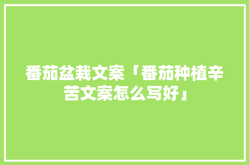 番茄盆栽文案「番茄种植辛苦文案怎么写好」 番茄盆栽文案「番茄种植辛苦文案怎么写好」 花朵知识