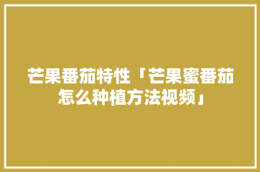 芒果番茄特性「芒果蜜番茄怎么种植方法视频」 芒果番茄特性「芒果蜜番茄怎么种植方法视频」 花朵知识