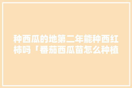 种西瓜的地第二年能种西红柿吗「番茄西瓜苗怎么种植视频」 种西瓜的地第二年能种西红柿吗「番茄西瓜苗怎么种植视频」 番茄病虫害防治