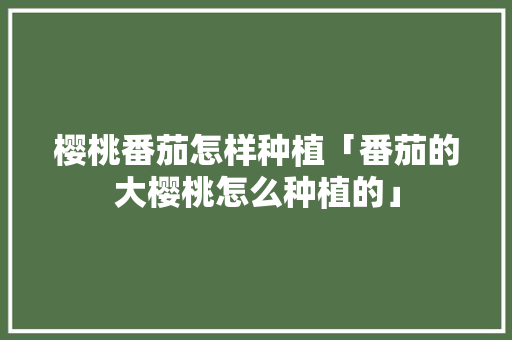樱桃番茄怎样种植「番茄的大樱桃怎么种植的」 樱桃番茄怎样种植「番茄的大樱桃怎么种植的」 土壤施肥