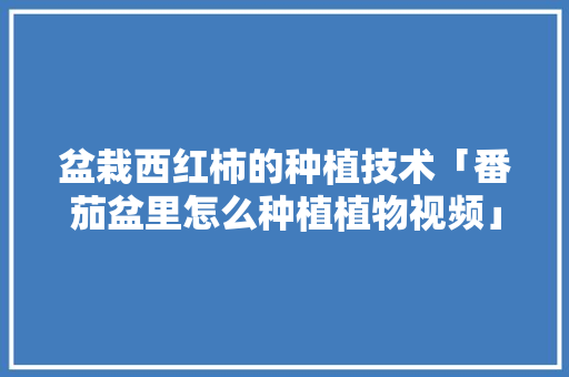 盆栽西红柿的种植技术「番茄盆里怎么种植植物视频」 盆栽西红柿的种植技术「番茄盆里怎么种植植物视频」 植物种类