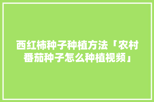 西红柿种子种植方法「农村番茄种子怎么种植视频」 西红柿种子种植方法「农村番茄种子怎么种植视频」 花朵知识