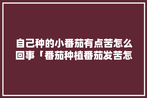 自己种的小番茄有点苦怎么回事「番茄种植番茄发苦怎么办呢」 自己种的小番茄有点苦怎么回事「番茄种植番茄发苦怎么办呢」 植物种类