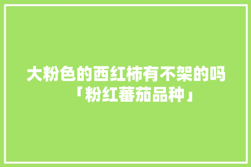 大粉色的西红柿有不架的吗「粉红蕃茄品种」 大粉色的西红柿有不架的吗「粉红蕃茄品种」 植物种类