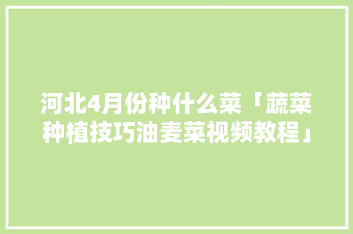 河北4月份种什么菜「蔬菜种植技巧油麦菜视频教程」 河北4月份种什么菜「蔬菜种植技巧油麦菜视频教程」 农业常识