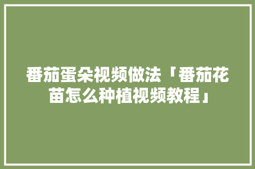 番茄蛋朵视频做法「番茄花苗怎么种植视频教程」 番茄蛋朵视频做法「番茄花苗怎么种植视频教程」 番茄种植技巧