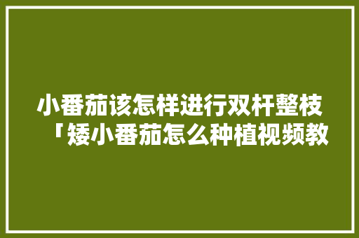 小番茄该怎样进行双杆整枝「矮小番茄怎么种植视频教程」 小番茄该怎样进行双杆整枝「矮小番茄怎么种植视频教程」 花朵知识