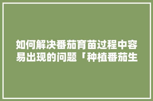 如何解决番茄育苗过程中容易出现的问题「种植番茄生病怎么办呢」 如何解决番茄育苗过程中容易出现的问题「种植番茄生病怎么办呢」 花朵知识