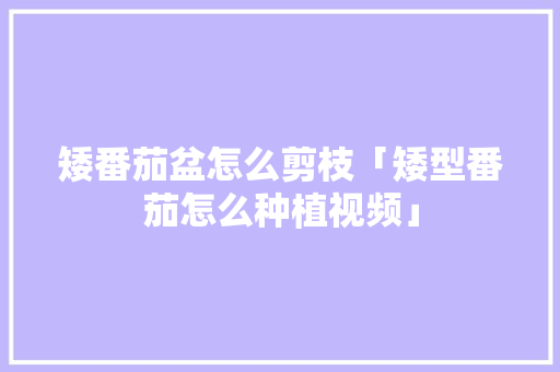 矮番茄盆怎么剪枝「矮型番茄怎么种植视频」 矮番茄盆怎么剪枝「矮型番茄怎么种植视频」 花朵知识
