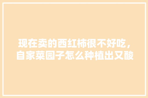 现在卖的西红柿很不好吃，自家菜园子怎么种植出又酸又甜的西红柿呢「番茄家庭怎么种植的好吃呢」 现在卖的西红柿很不好吃，自家菜园子怎么种植出又酸又甜的西红柿呢「番茄家庭怎么种植的好吃呢」 种植技巧
