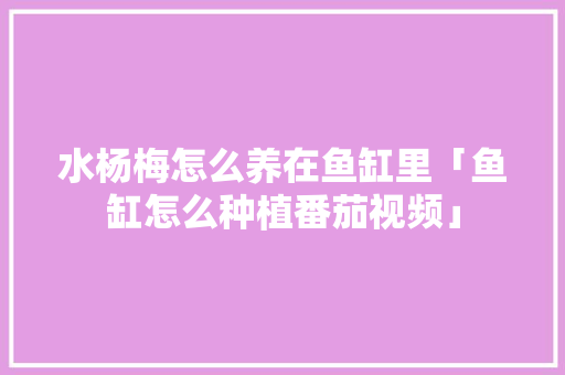 水杨梅怎么养在鱼缸里「鱼缸怎么种植番茄视频」