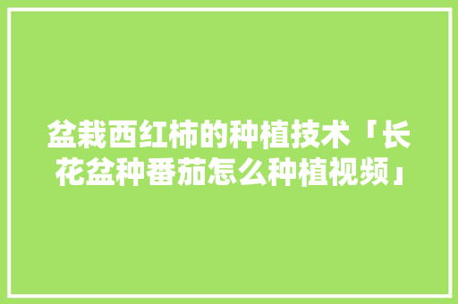盆栽西红柿的种植技术「长花盆种番茄怎么种植视频」 盆栽西红柿的种植技术「长花盆种番茄怎么种植视频」 番茄病虫害防治