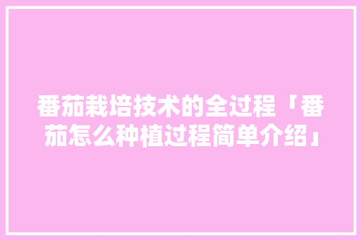 番茄栽培技术的全过程「番茄怎么种植过程简单介绍」 番茄栽培技术的全过程「番茄怎么种植过程简单介绍」 花朵知识