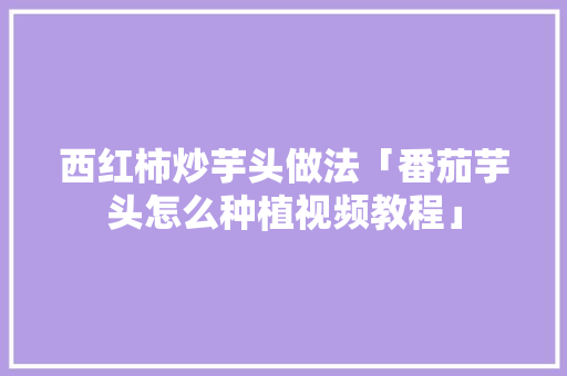 西红柿炒芋头做法「番茄芋头怎么种植视频教程」 西红柿炒芋头做法「番茄芋头怎么种植视频教程」 农业常识