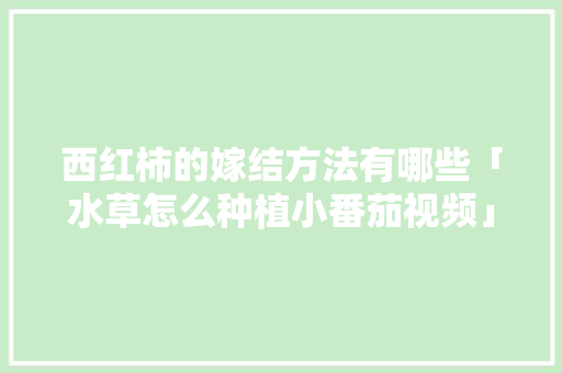 西红柿的嫁结方法有哪些「水草怎么种植小番茄视频」 西红柿的嫁结方法有哪些「水草怎么种植小番茄视频」 种植技巧