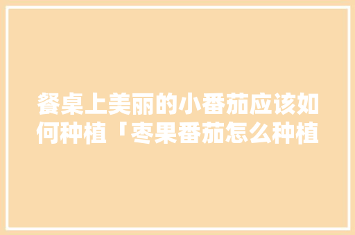 餐桌上美丽的小番茄应该如何种植「枣果番茄怎么种植视频」 餐桌上美丽的小番茄应该如何种植「枣果番茄怎么种植视频」 农业常识