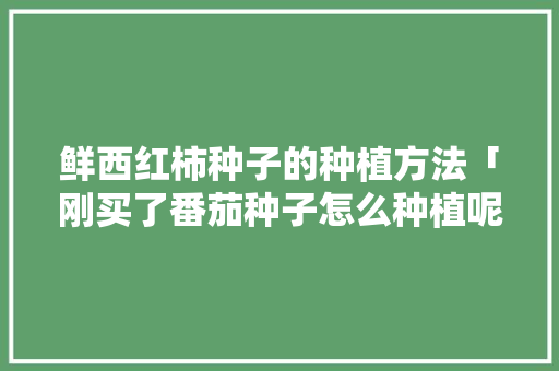 鲜西红柿种子的种植方法「刚买了番茄种子怎么种植呢」 鲜西红柿种子的种植方法「刚买了番茄种子怎么种植呢」 花朵知识