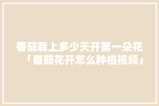 番茄栽上多少天开第一朵花「番茄花开怎么种植视频」 番茄栽上多少天开第一朵花「番茄花开怎么种植视频」 土壤施肥