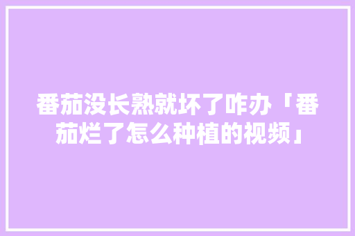 番茄没长熟就坏了咋办「番茄烂了怎么种植的视频」 番茄没长熟就坏了咋办「番茄烂了怎么种植的视频」 番茄病虫害防治