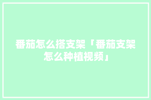 番茄怎么搭支架「番茄支架怎么种植视频」
