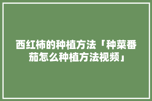 西红柿的种植方法「种菜番茄怎么种植方法视频」 西红柿的种植方法「种菜番茄怎么种植方法视频」 种植技巧