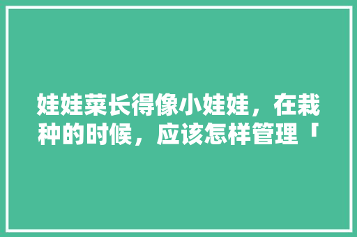 娃娃菜长得像小娃娃，在栽种的时候，应该怎样管理「儿童蔬菜种植技巧和方法图片」 娃娃菜长得像小娃娃，在栽种的时候，应该怎样管理「儿童蔬菜种植技巧和方法图片」 种植技巧