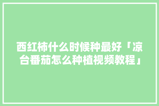 西红柿什么时候种最好「凉台番茄怎么种植视频教程」 西红柿什么时候种最好「凉台番茄怎么种植视频教程」 种植技巧