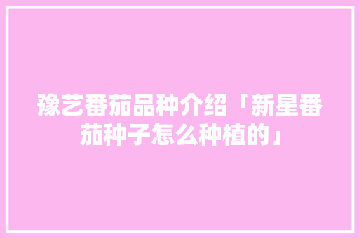 豫艺番茄品种介绍「新星番茄种子怎么种植的」 豫艺番茄品种介绍「新星番茄种子怎么种植的」 土壤施肥