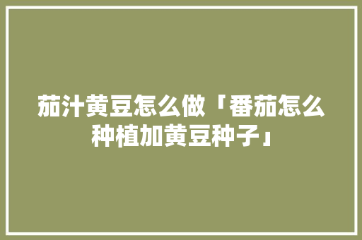 茄汁黄豆怎么做「番茄怎么种植加黄豆种子」