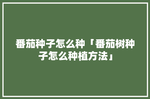 番茄种子怎么种「番茄树种子怎么种植方法」 植物种类 番茄种子怎么种「番茄树种子怎么种植方法」 番茄种子怎么种「番茄树种子怎么种植方法」 植物种类