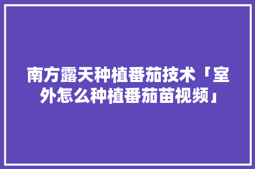 南方露天种植番茄技术「室外怎么种植番茄苗视频」 南方露天种植番茄技术「室外怎么种植番茄苗视频」 农业常识