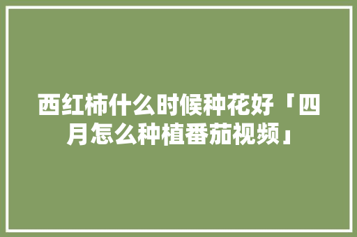 西红柿什么时候种花好「四月怎么种植番茄视频」 西红柿什么时候种花好「四月怎么种植番茄视频」 植物种类