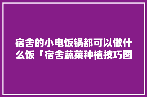 宿舍的小电饭锅都可以做什么饭「宿舍蔬菜种植技巧图解大全」 宿舍的小电饭锅都可以做什么饭「宿舍蔬菜种植技巧图解大全」 种植技巧